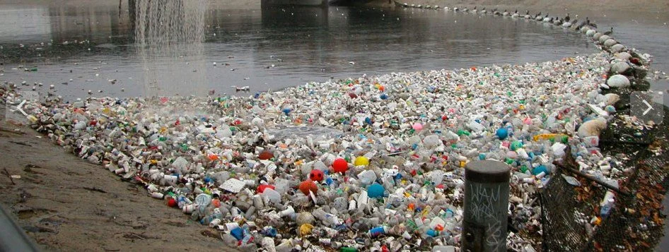 Marcy Rustad, "Think Beyond Plastic"