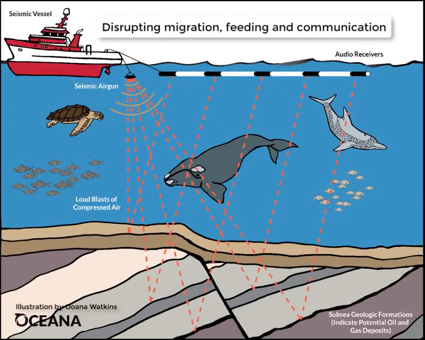 American Cetacean Society - San Francisco Bay Chapter — Impacts of  Anthropogenic Sound on Marine Life