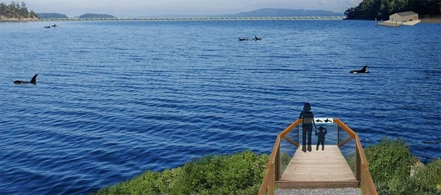 Charles Vinick, "Keiko's Legacy: What We Learned From the True Story of Free Willy" 