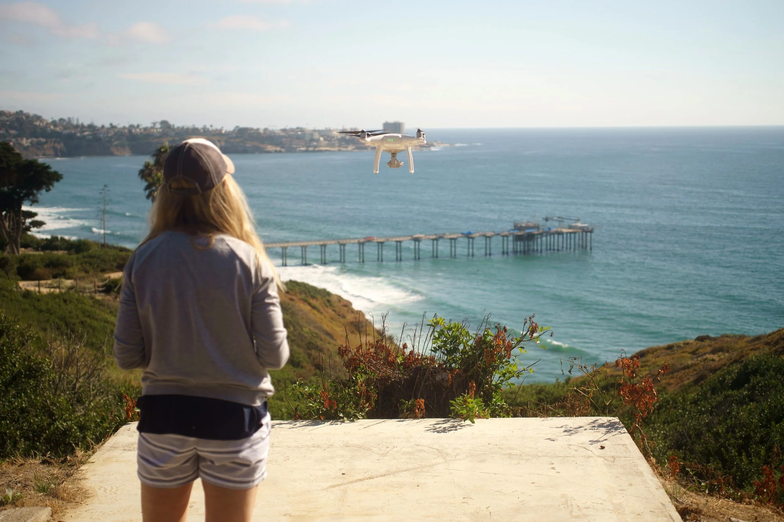 Alicia Amerson, “Wildlife and Drones:  How We Can Reduce Disturbance While Capturing Images”