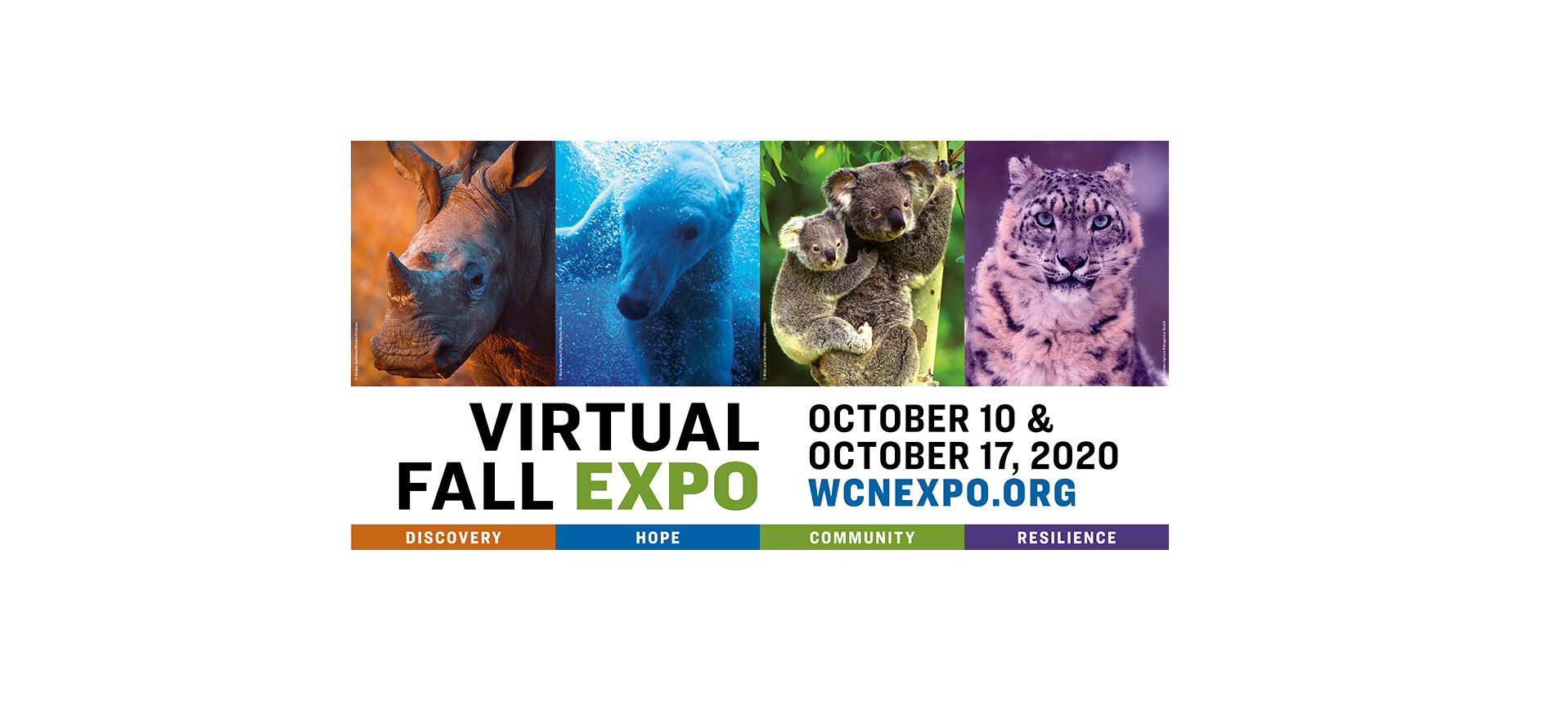 Wildlife Conservation Network 2020 Virtual Fall Expo