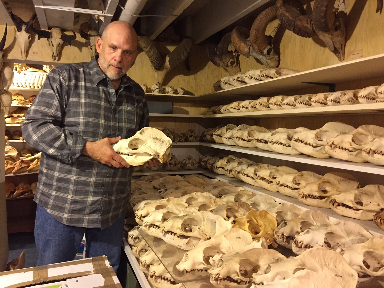 Marc Webber at R Bandar's collection at California Academy of Science