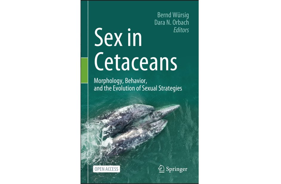 Sex In Cetaceans book cover