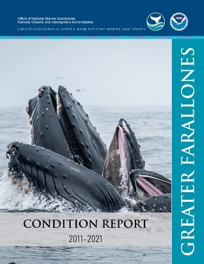 20240614-gfnms-condition-report-cover-400.jpeg