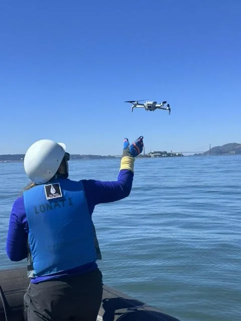 drone fly.jpg