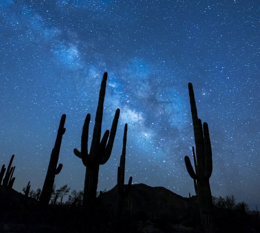 cactus stars POC.png