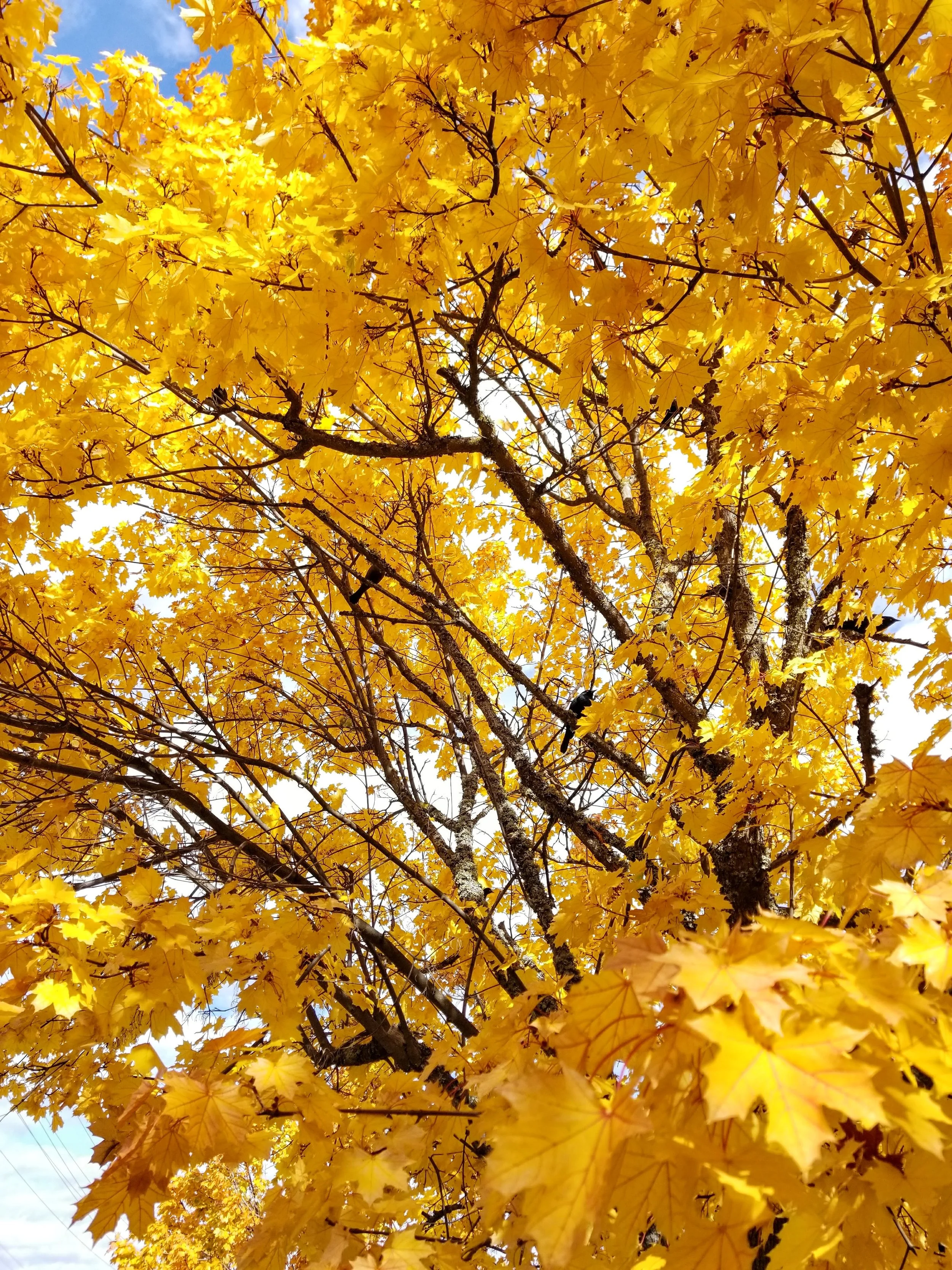20171019_130438.jpg