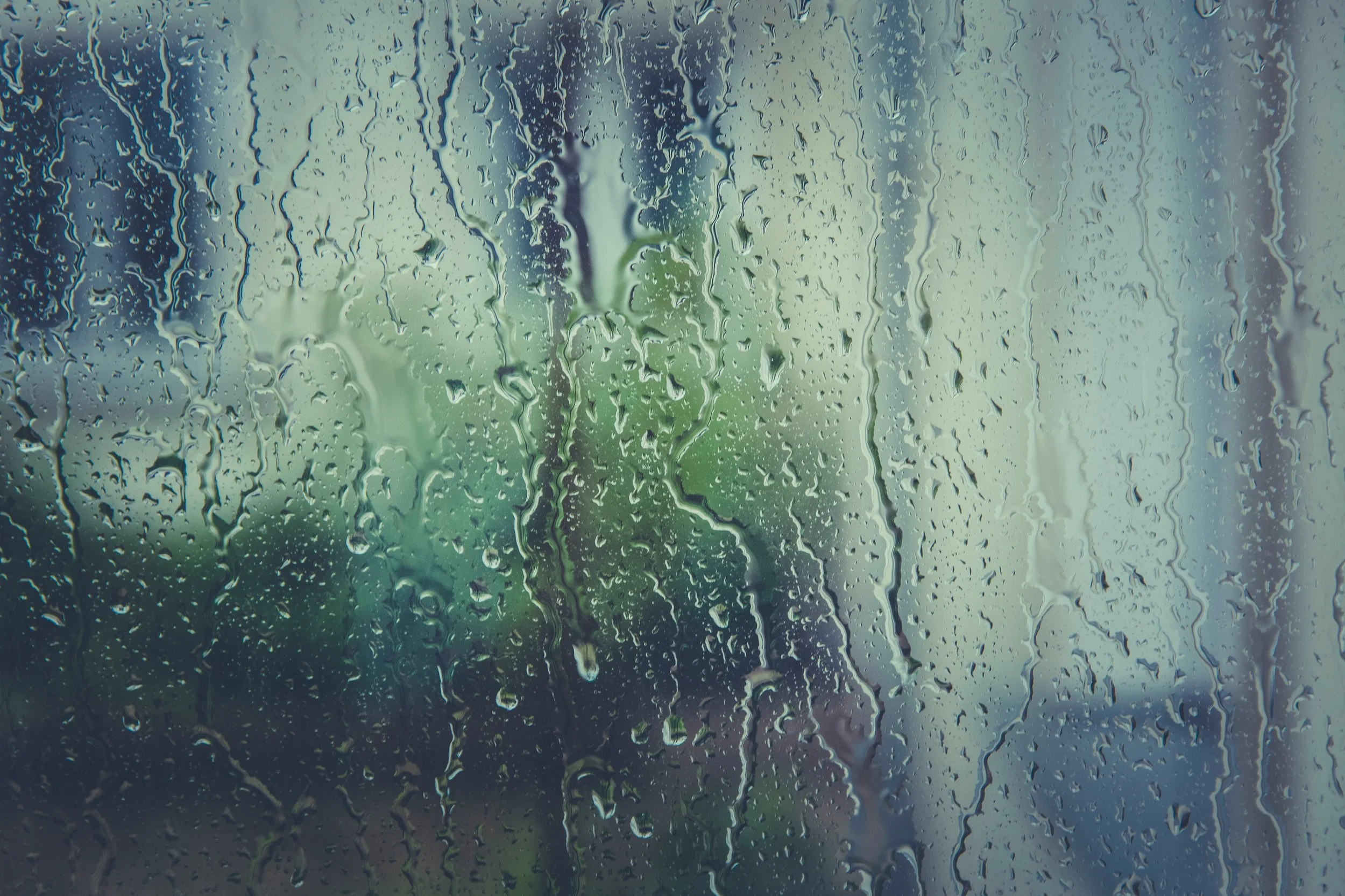 rain-raindrops-rainy-110874.jpg