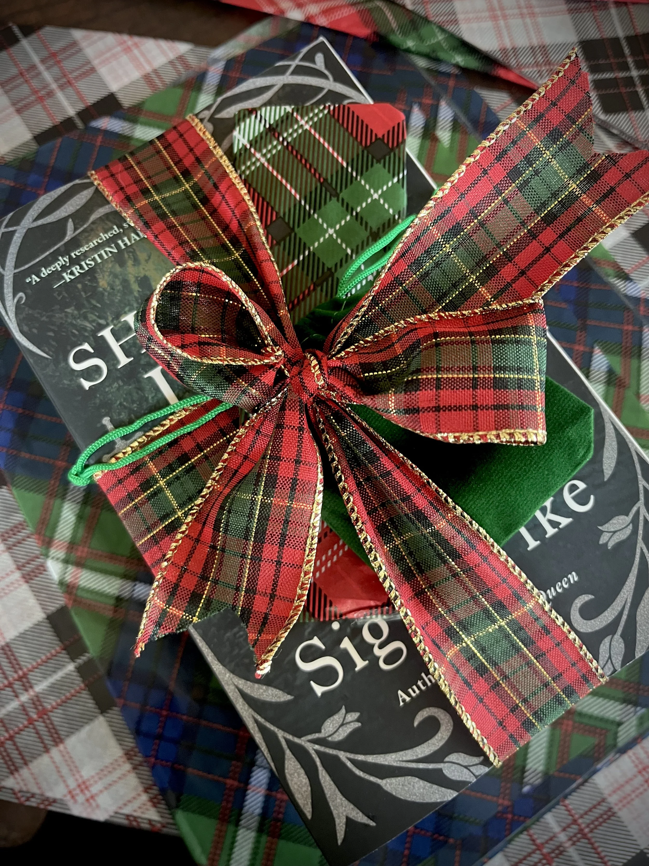 B&N Holiday Author Signing