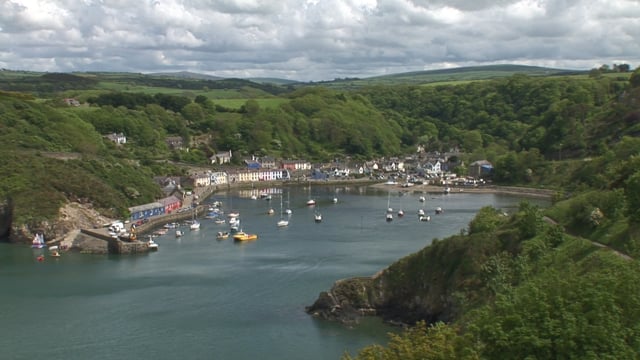 Fishguard Overview