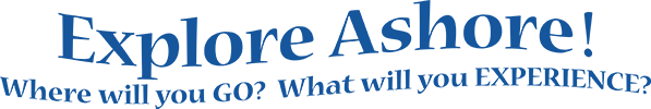 1536850212931.png