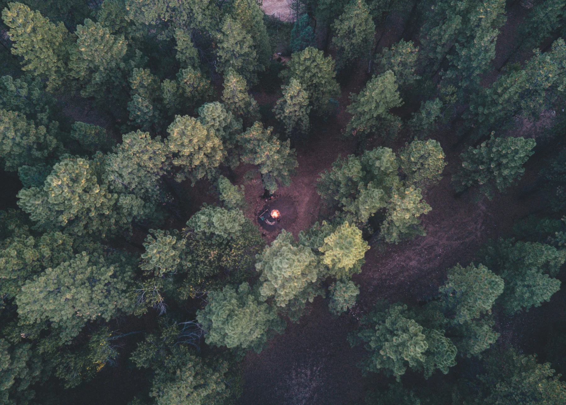 DJI_0076.jpg