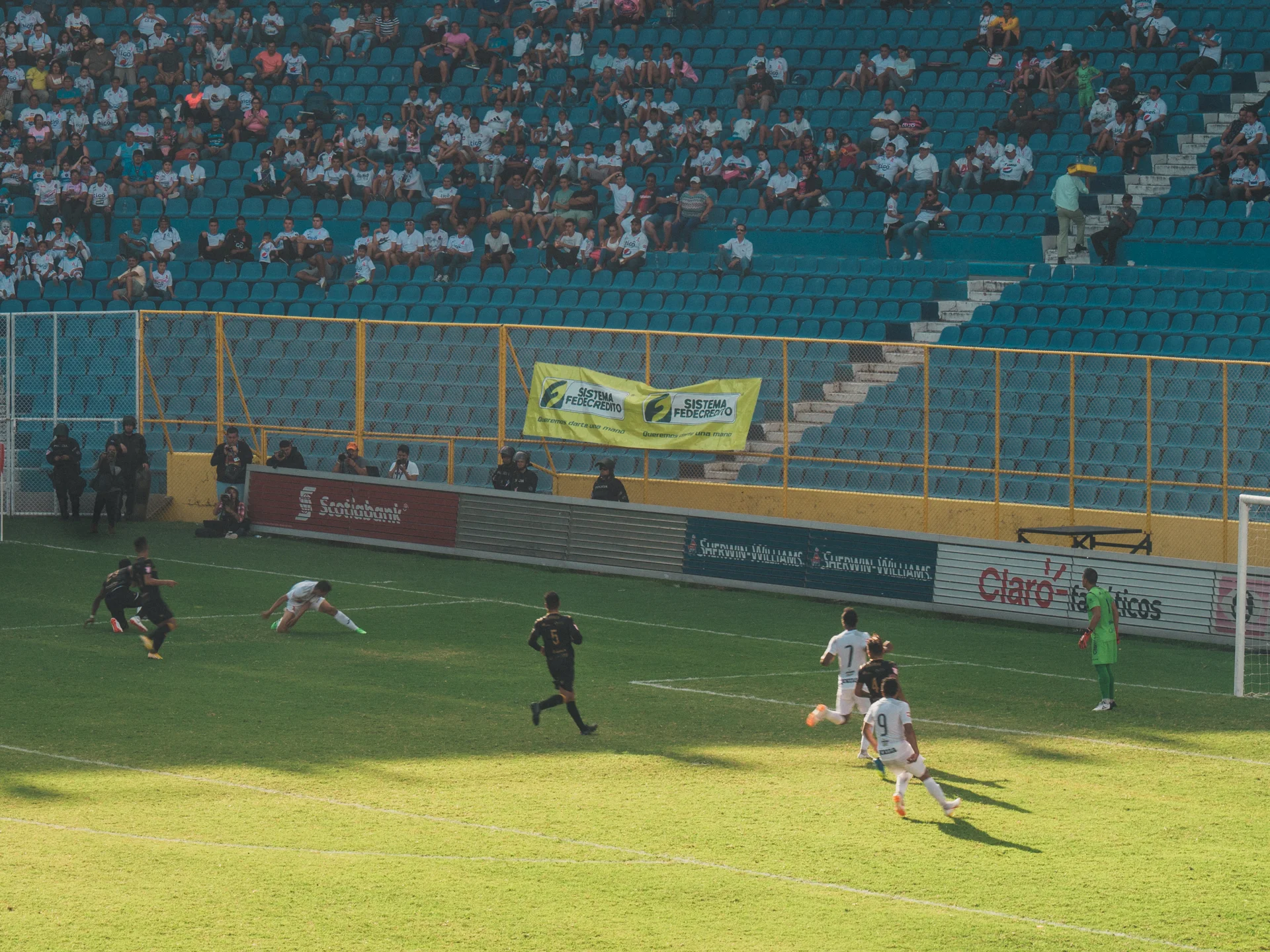 P1800189-2.jpg