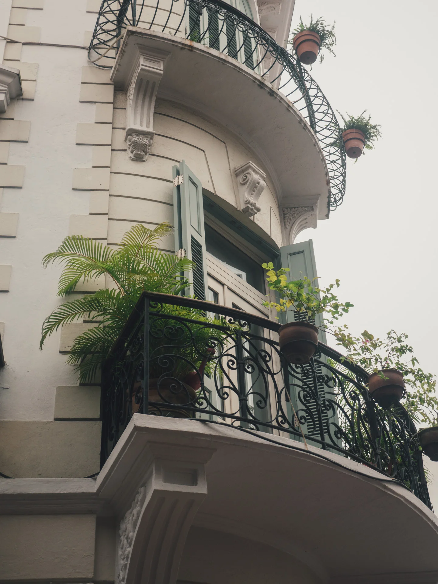 P1822541.jpg