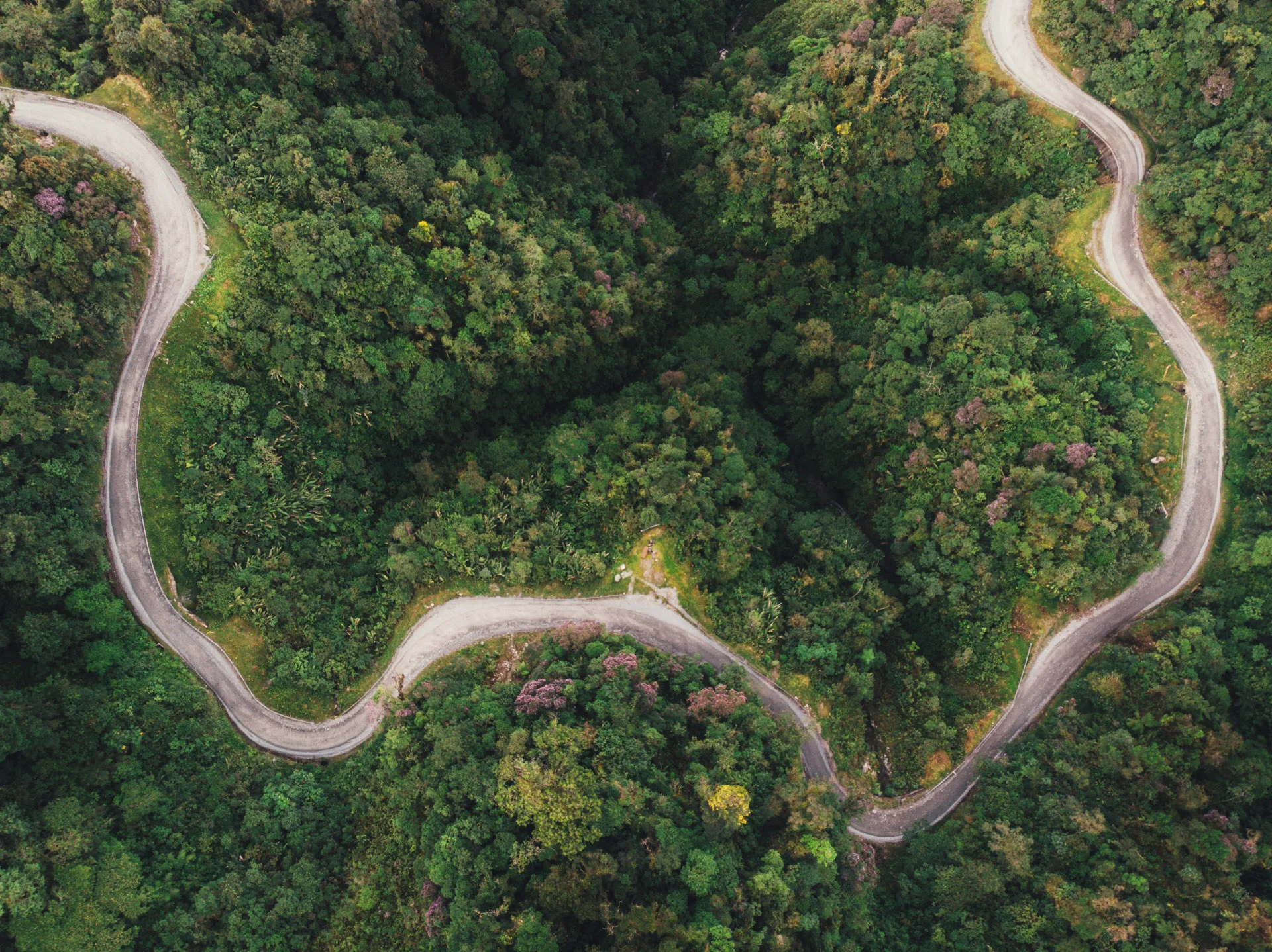 DJI_0083.jpg