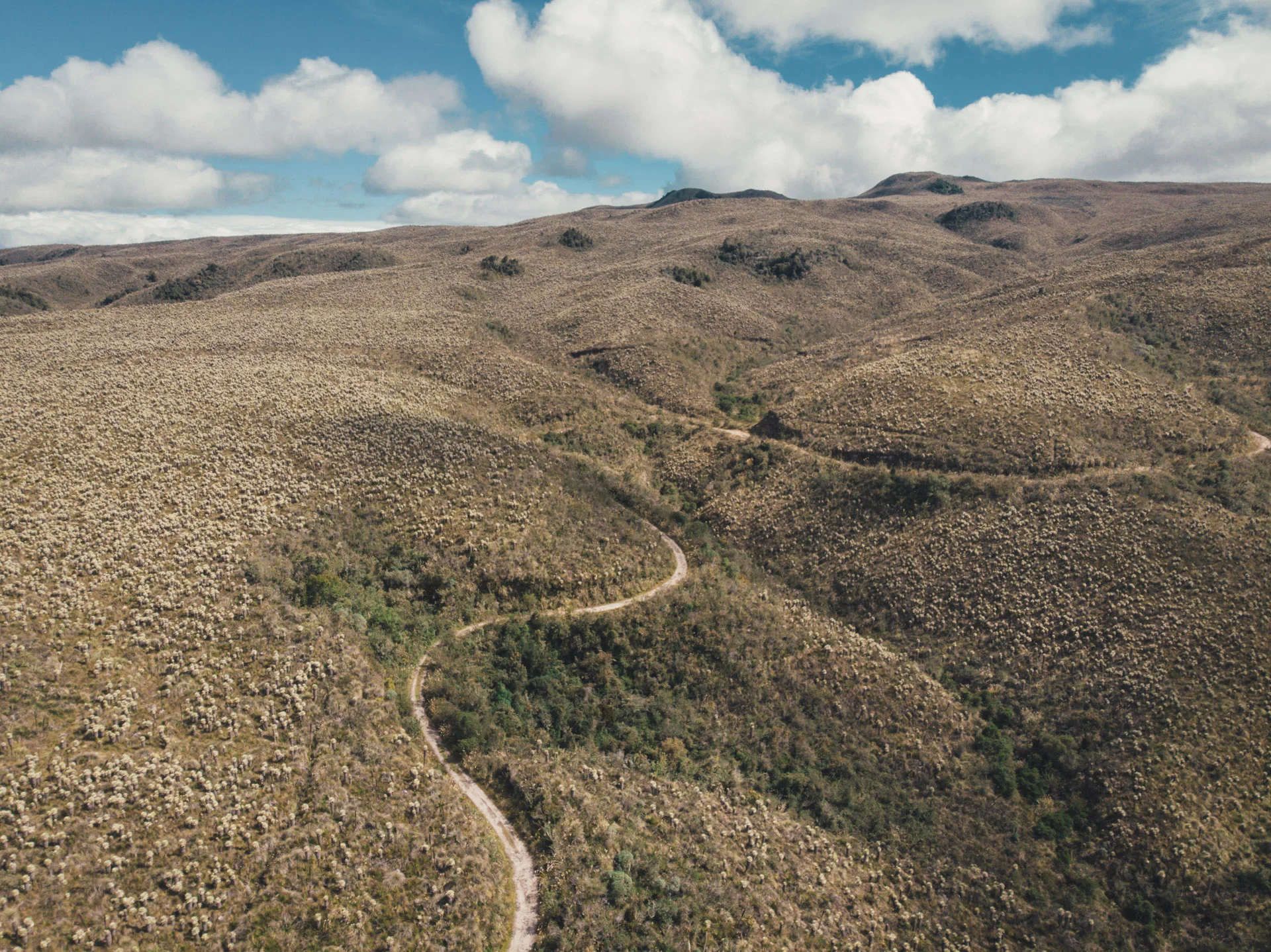 DJI_0114.jpg