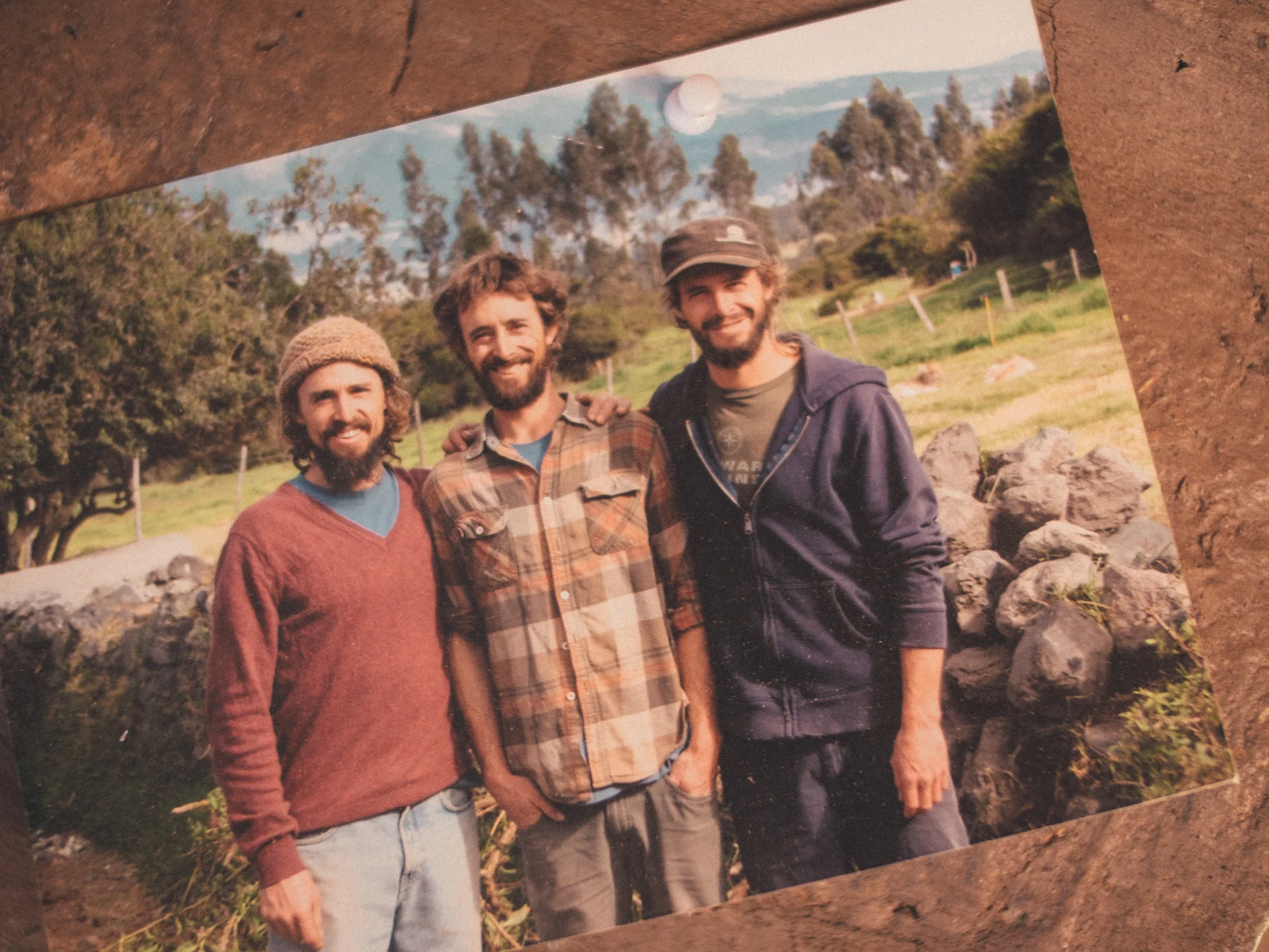 Mathias, Michael and Thomas Dammer
