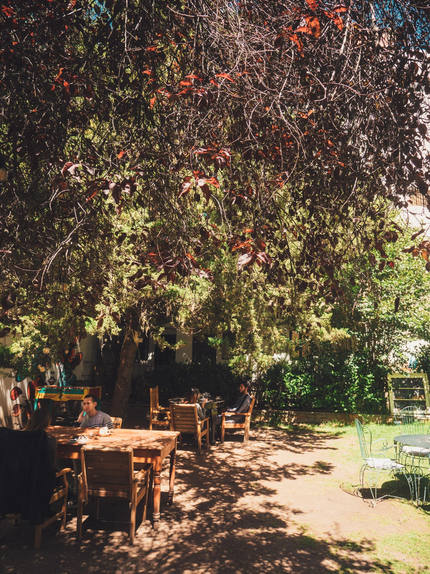 In the garden of Typica Café, a great spot to work and sip cortado’s