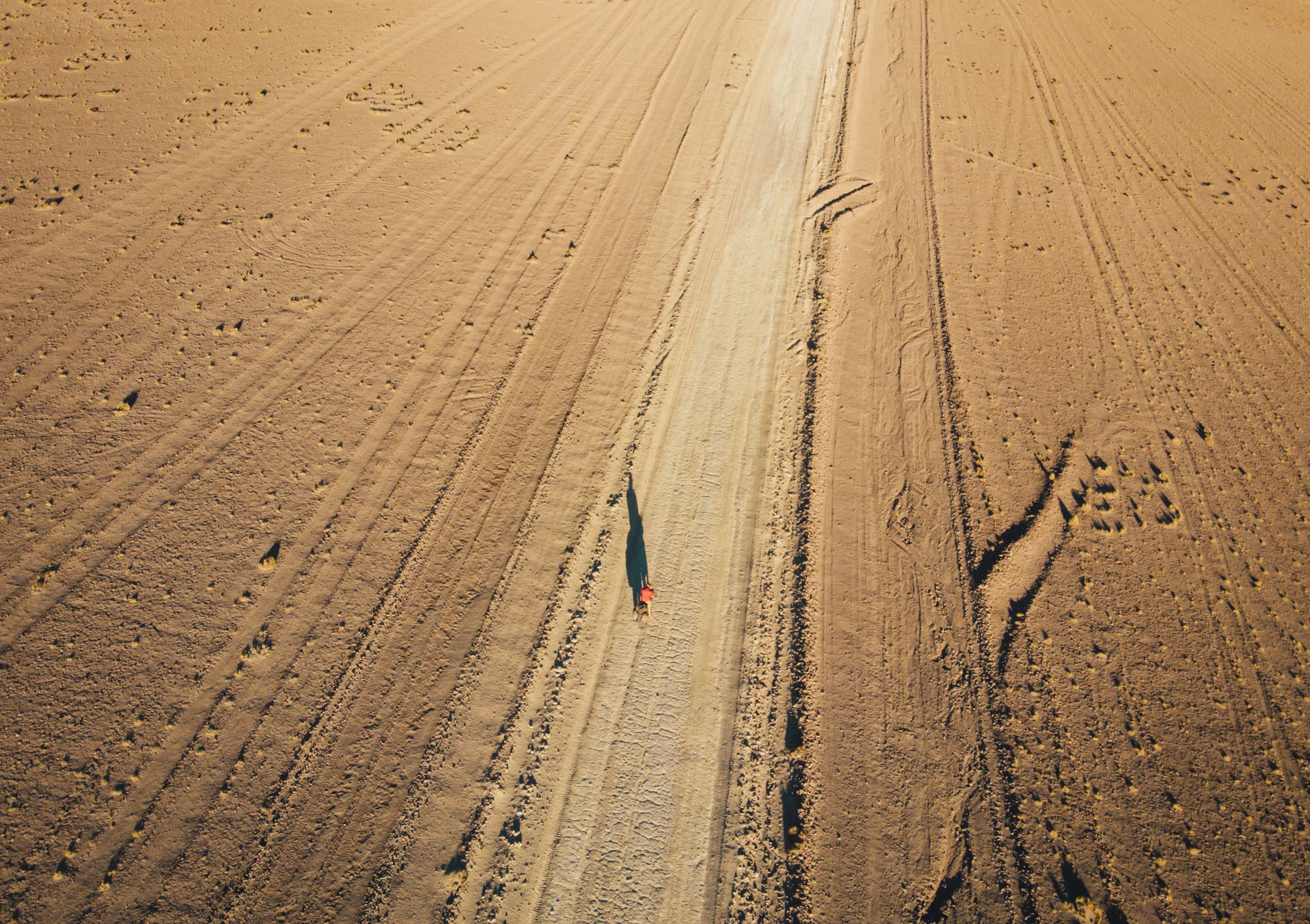 DJI_0215.jpg