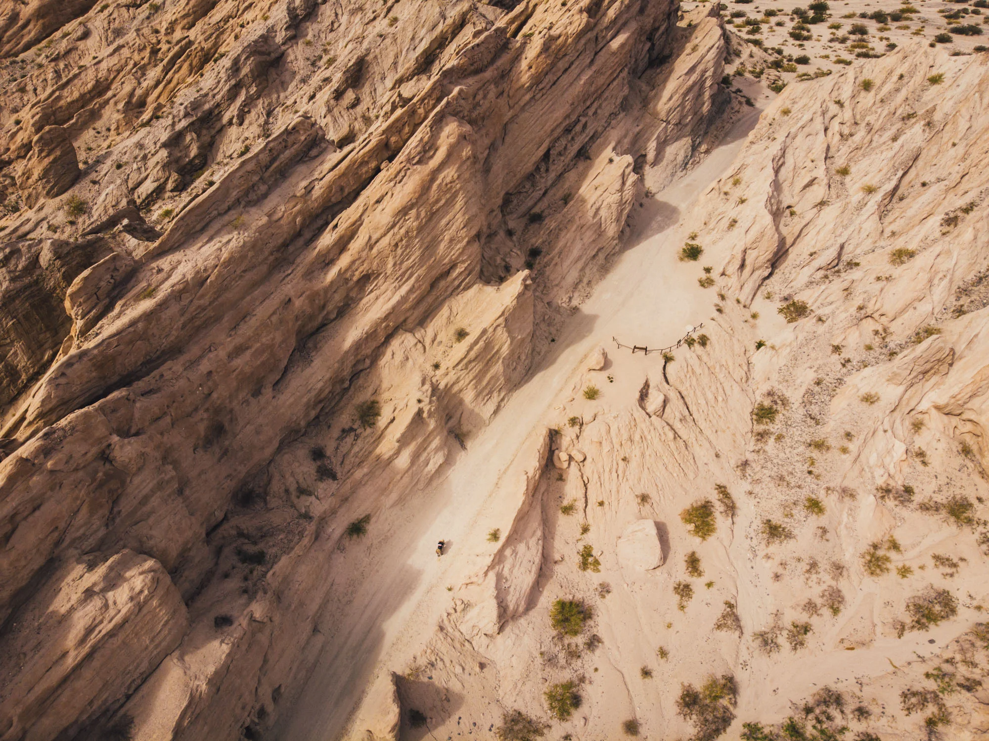 DJI_0337.jpg