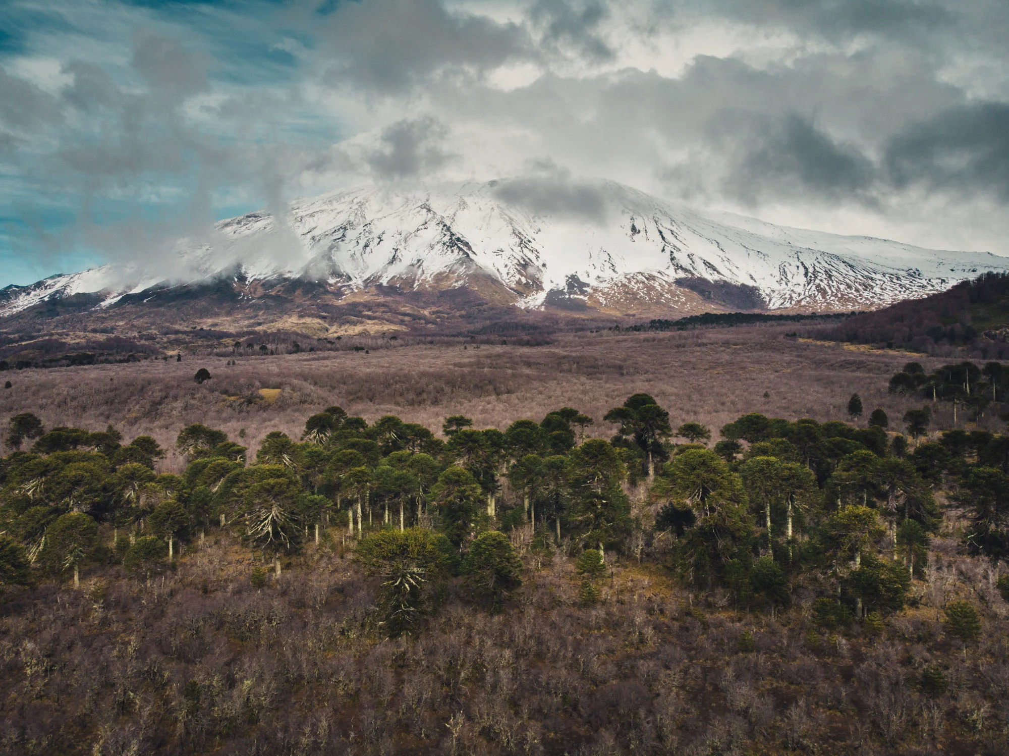 DJI_0524.jpg