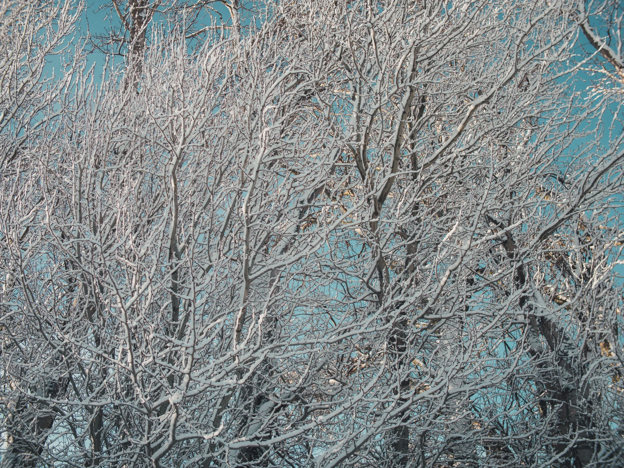 P2333366.jpg