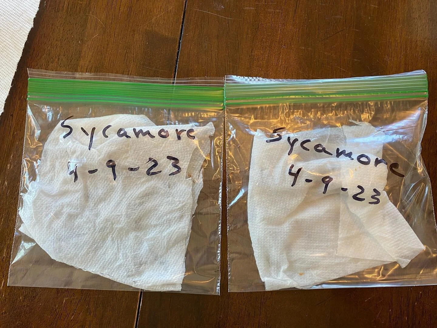 &ldquo;Sick&rdquo; #NoGerminationWithoutRepresentation #SickSeeds #RipIt