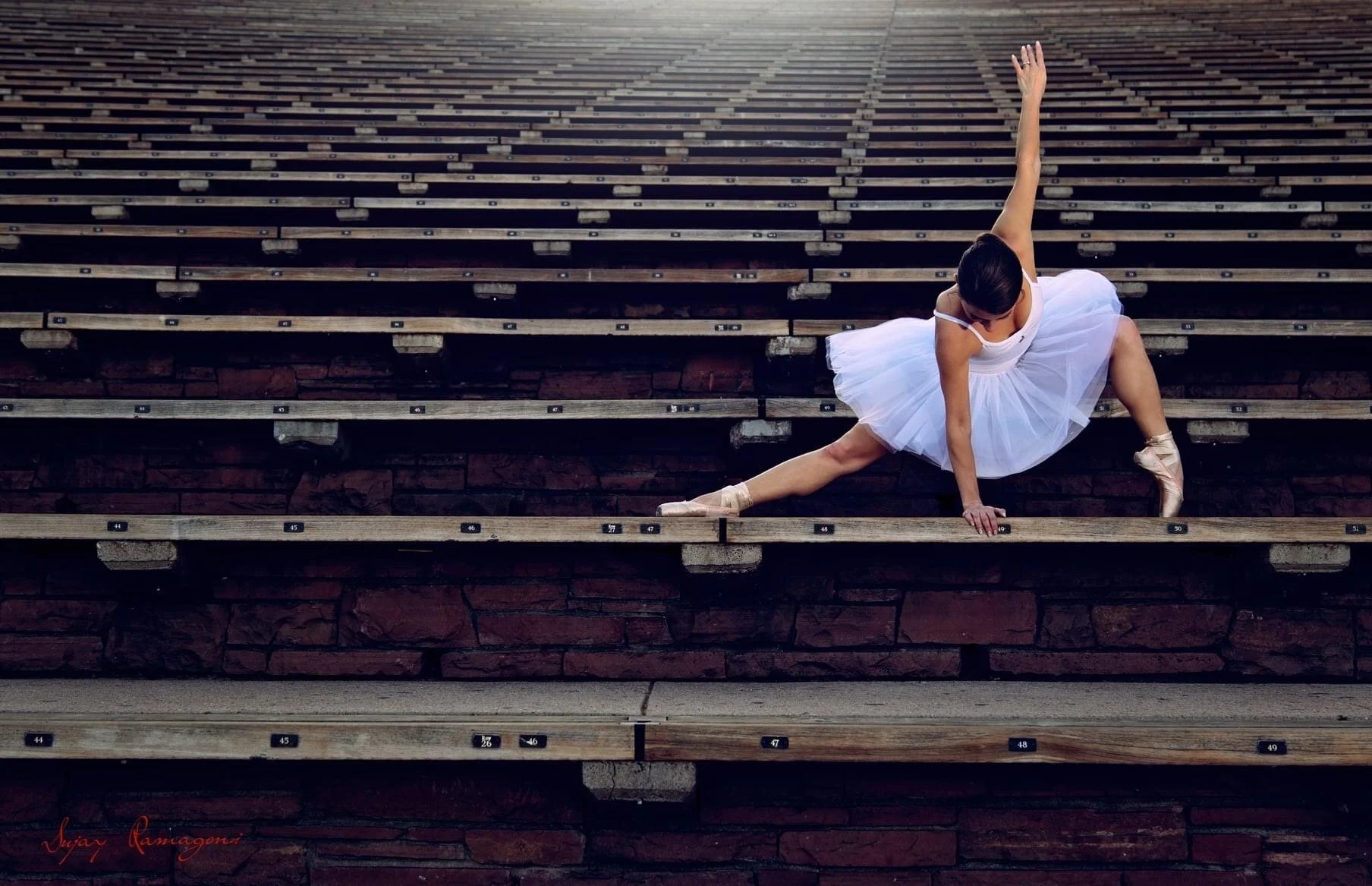 IMG_1958 2.JPG