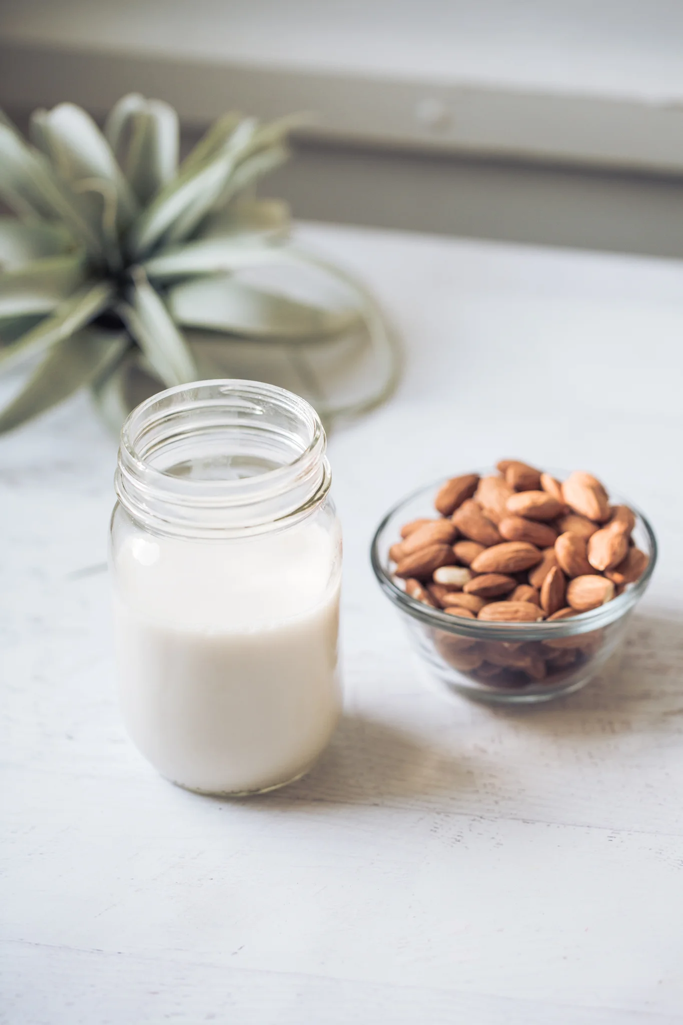Fresh_Almond_Milk-103.jpg