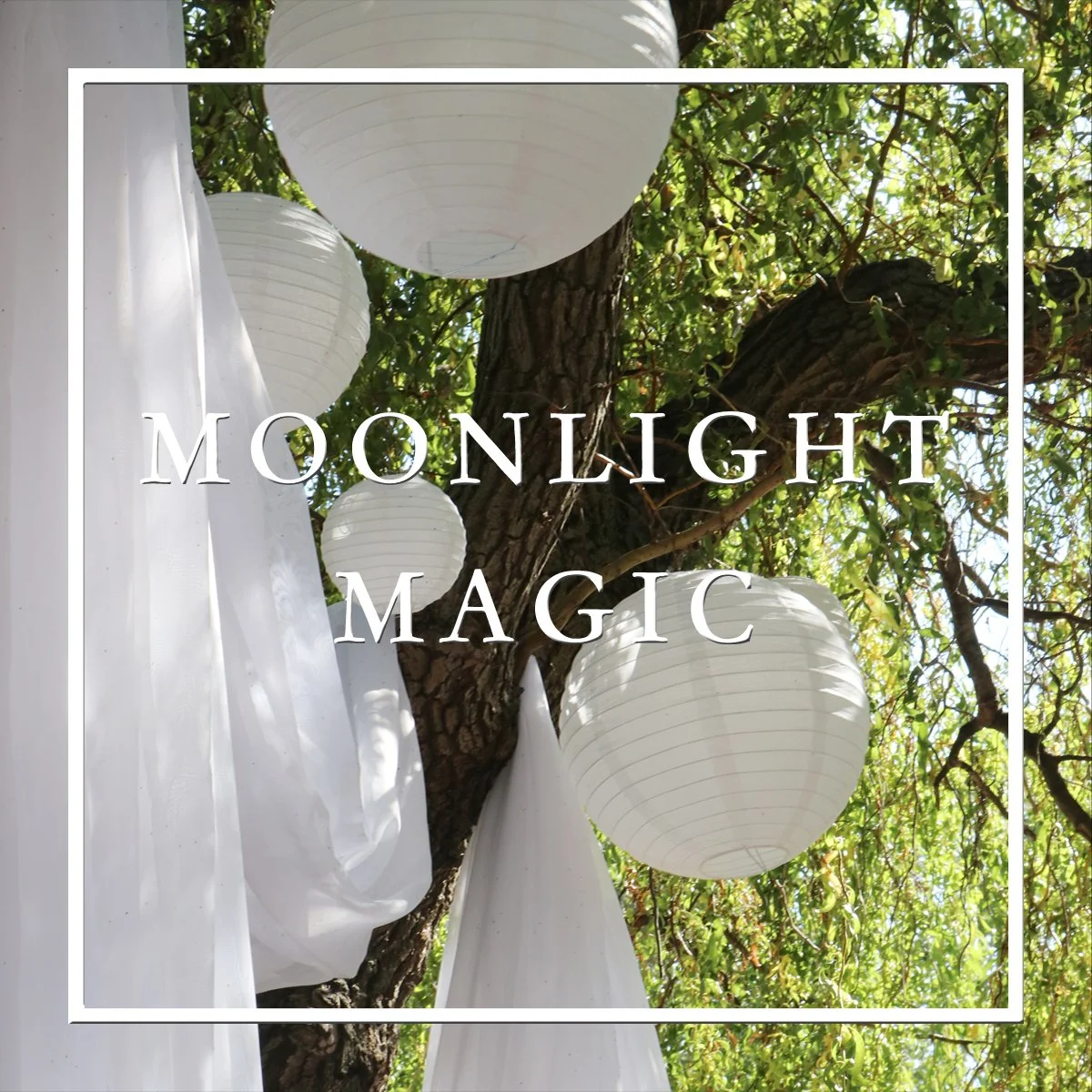 Moonlight Magic