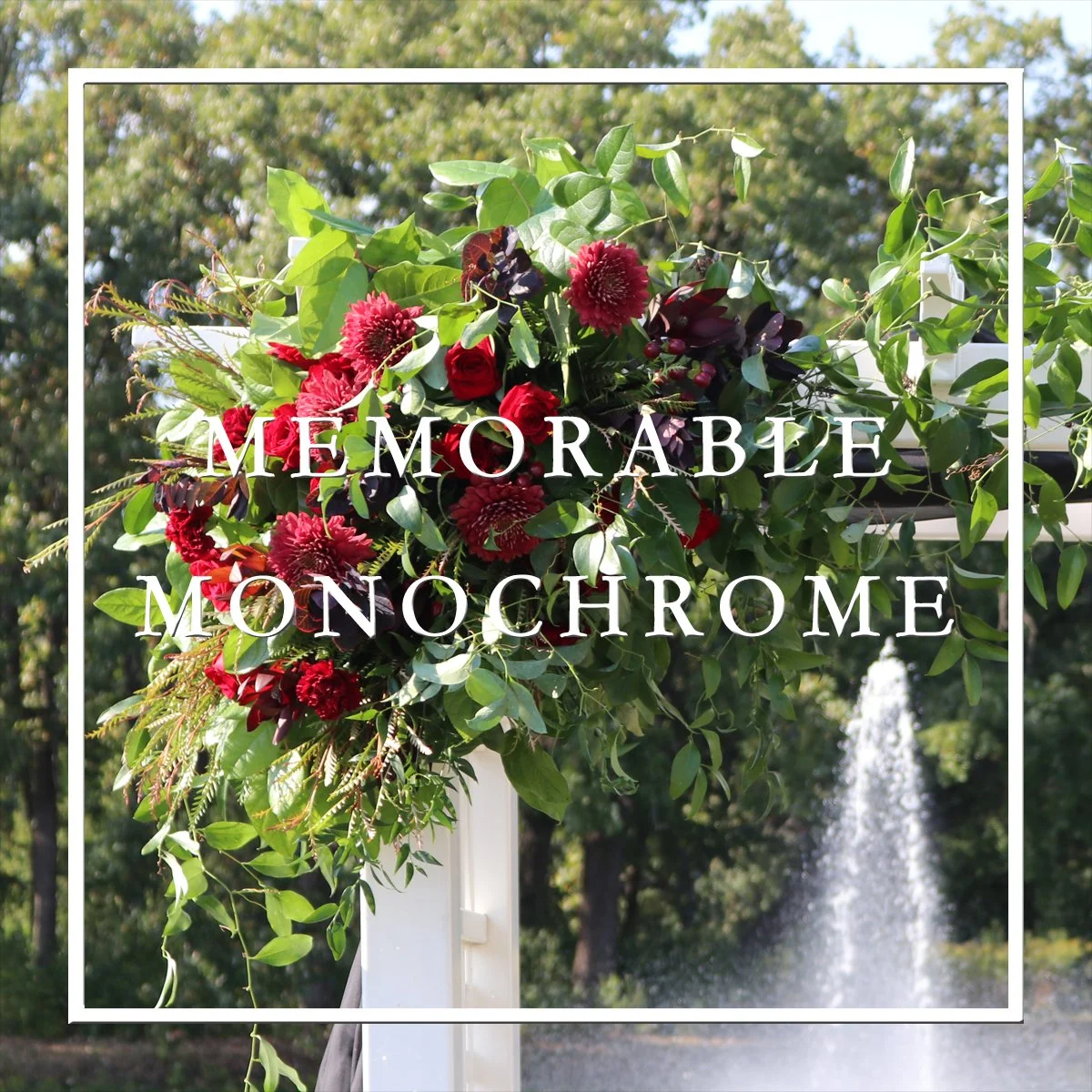 Memorable Monochrome