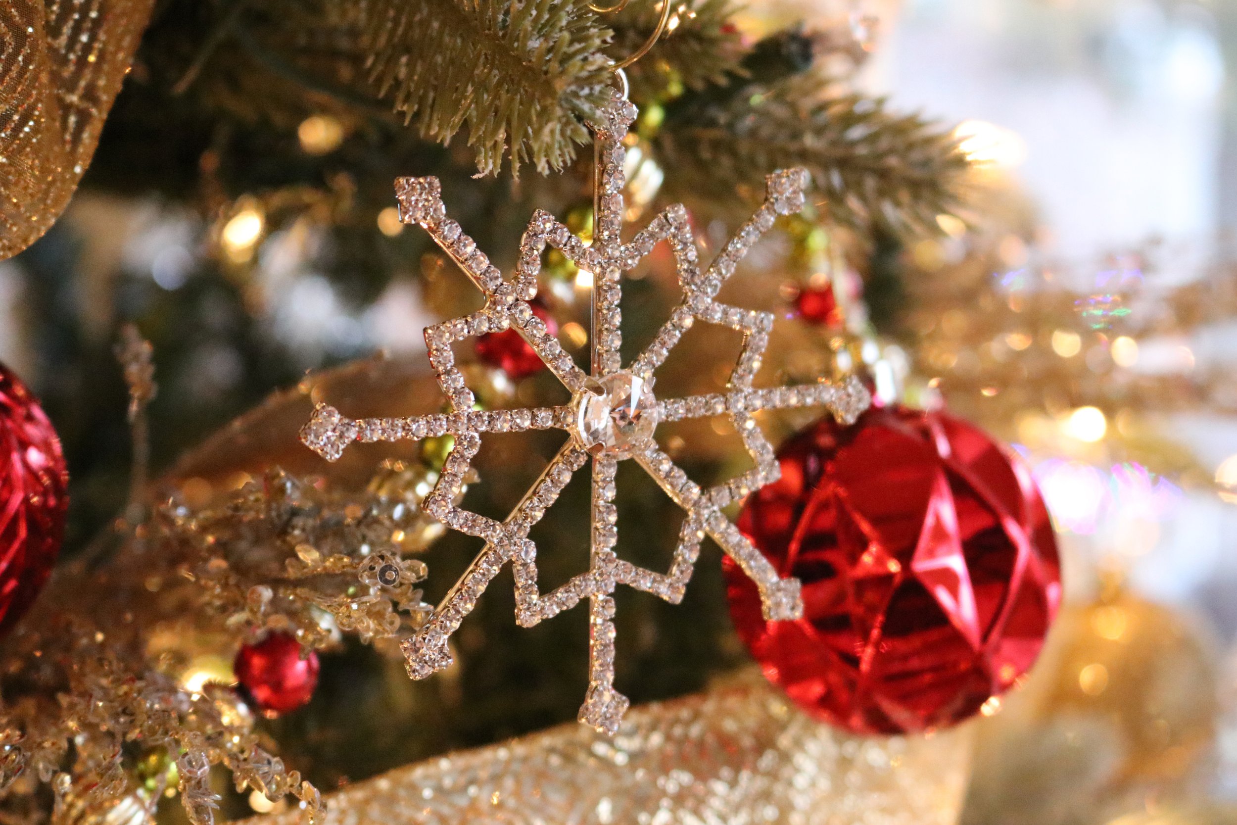 Reporting For Christmas