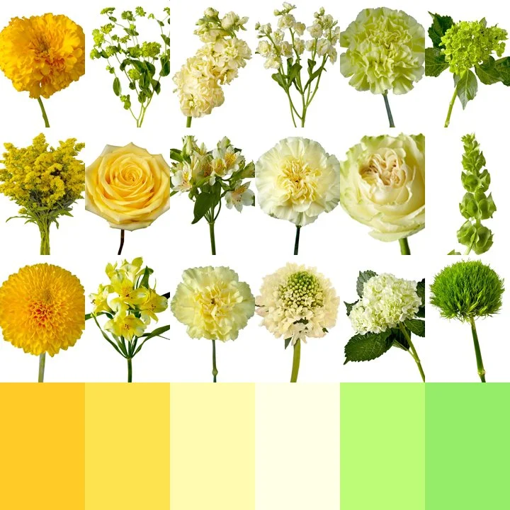 Carol Flowers.jpg