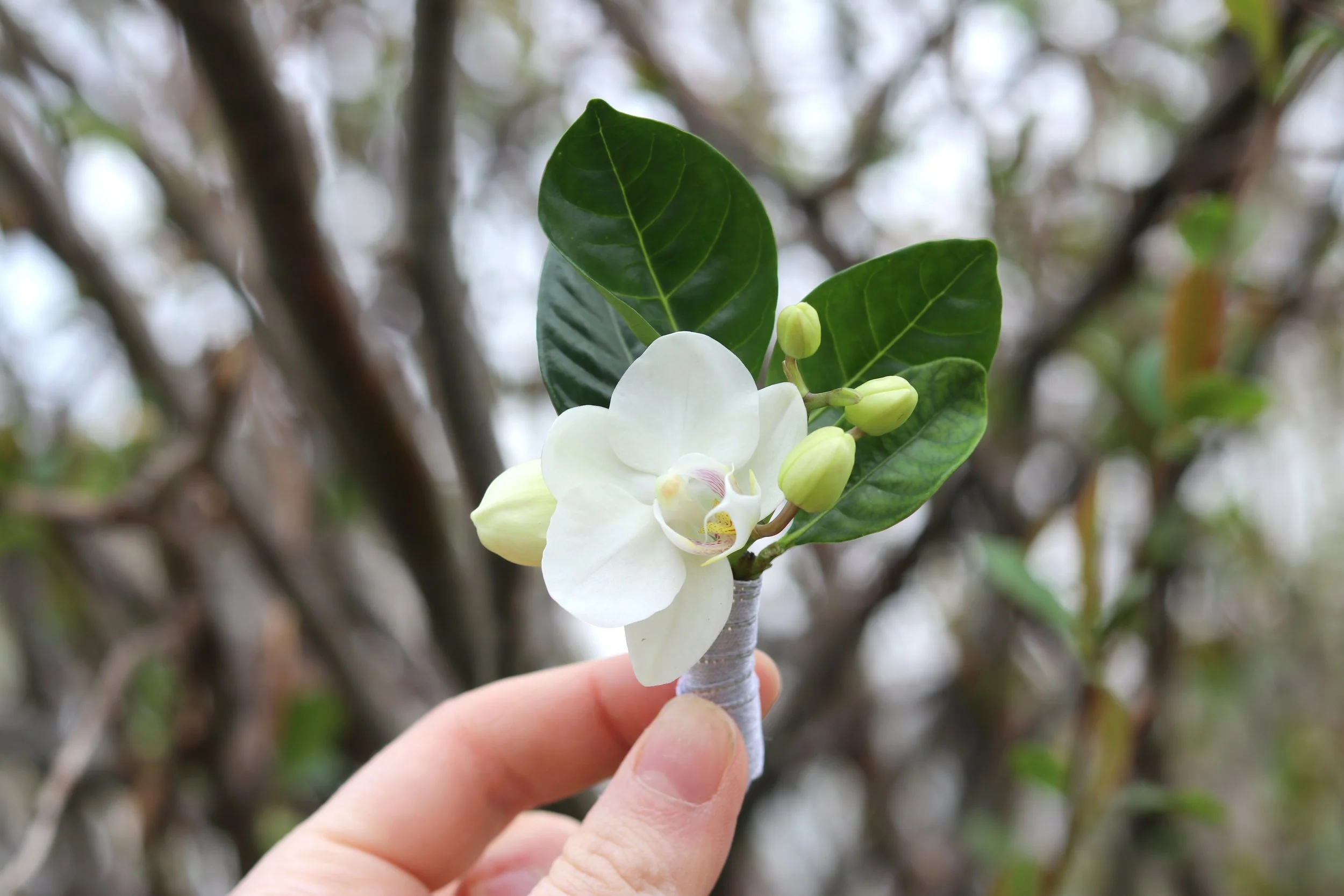 Everyday Boutonniere