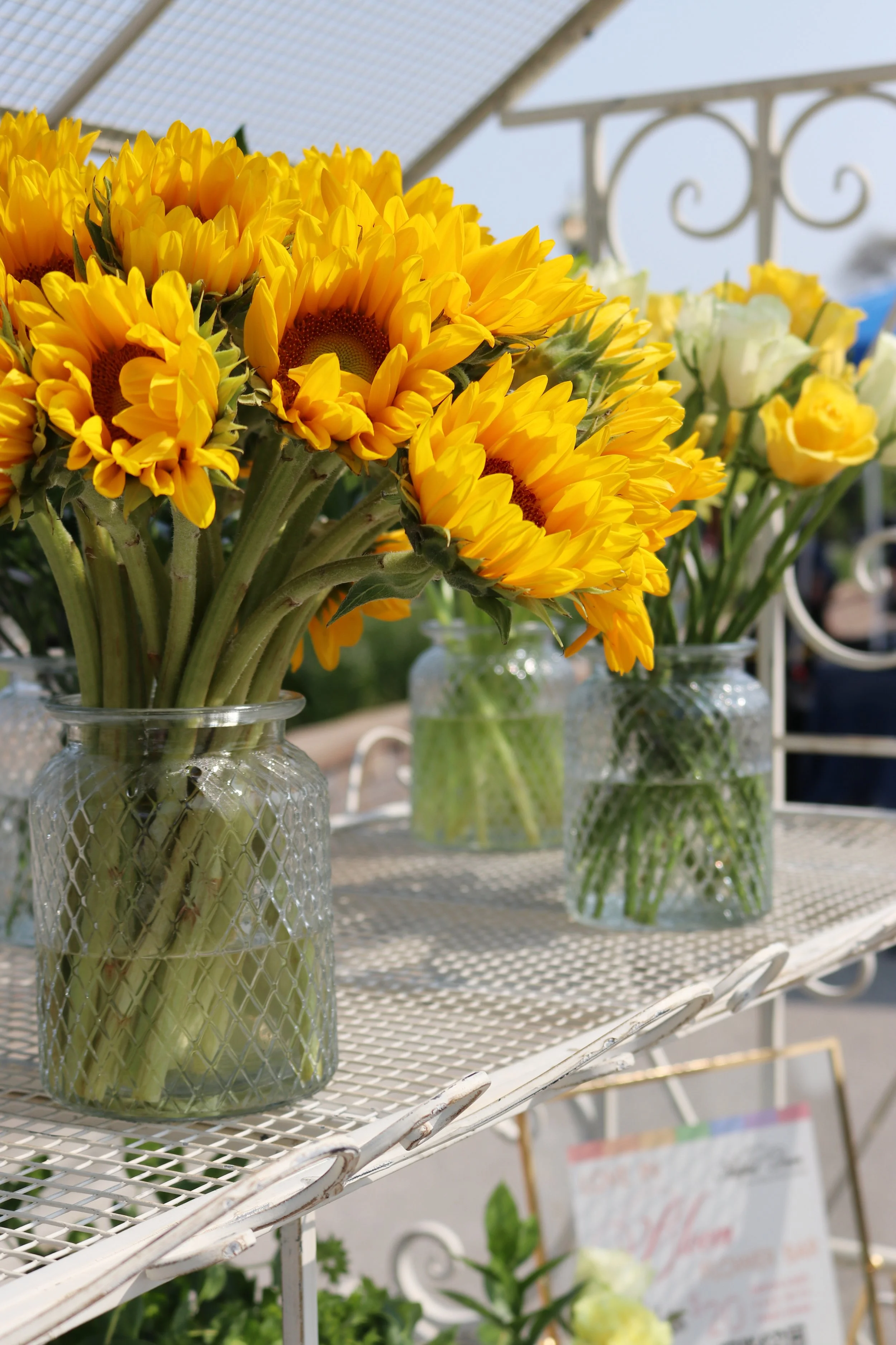 Bud Vase Arrangements - PM