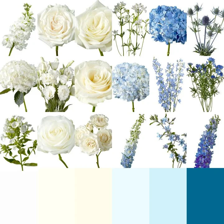 Marie Flowers.jpg