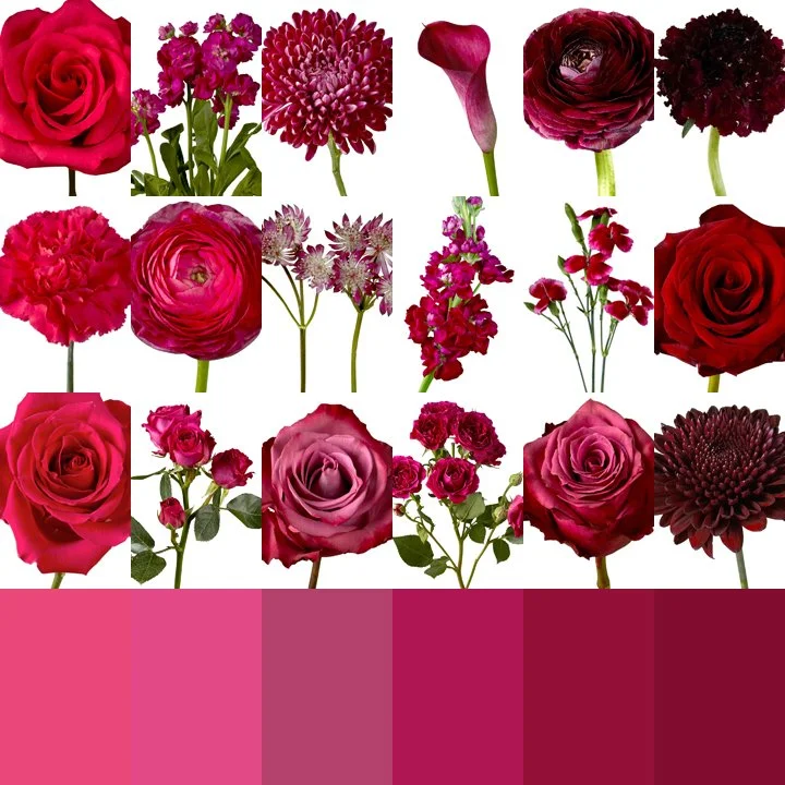 Bebe Flowers.jpg