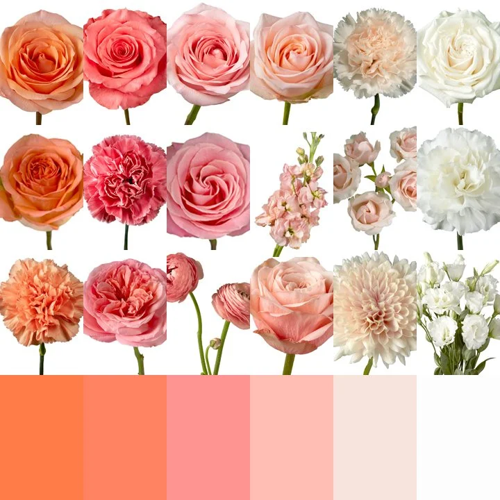 Geraldine Flowers.jpg