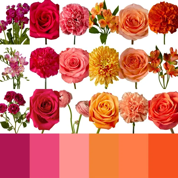 Amanda Flowers.jpg