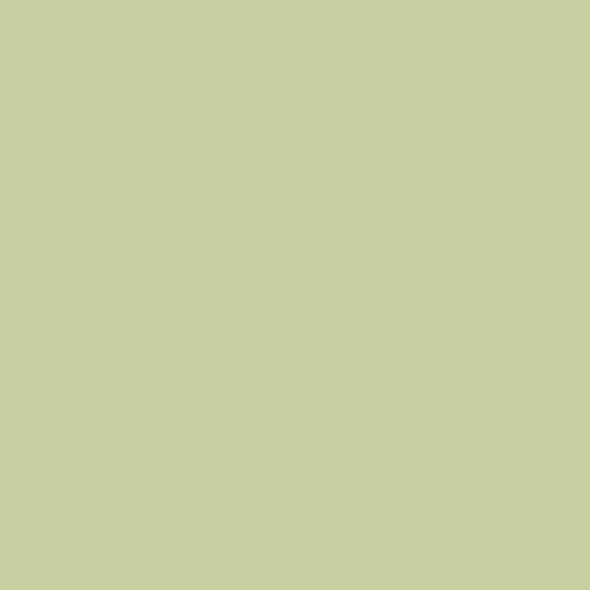 Pear Lamour