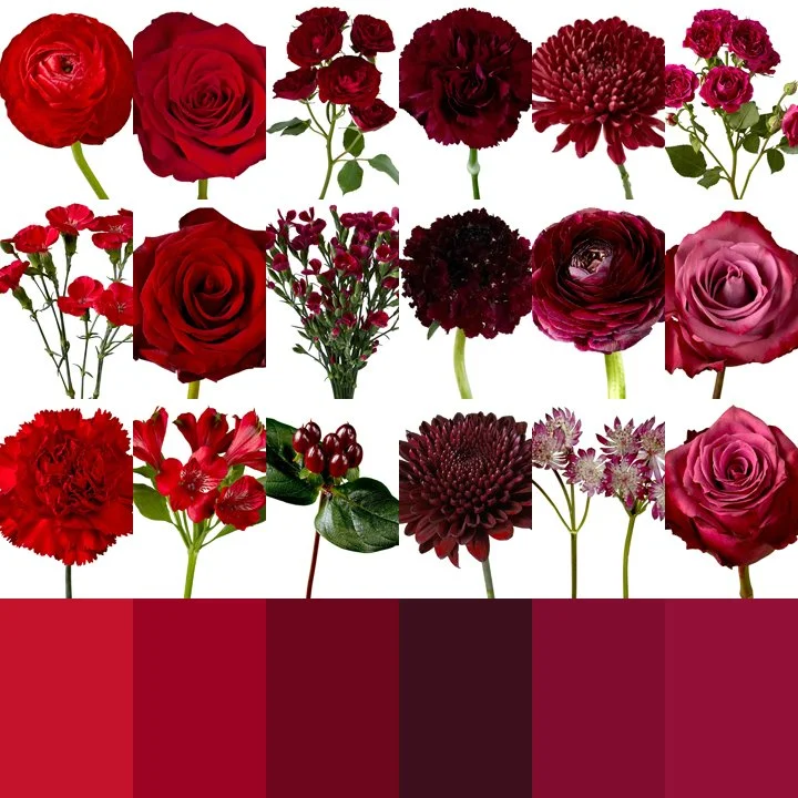 Sharon Flowers.jpg