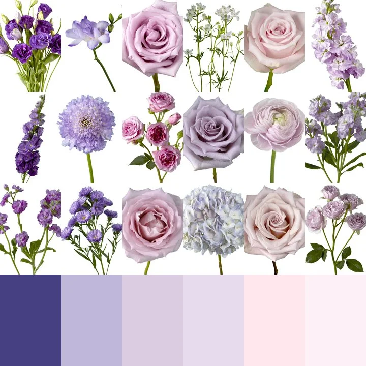 Renee Flowers.jpg