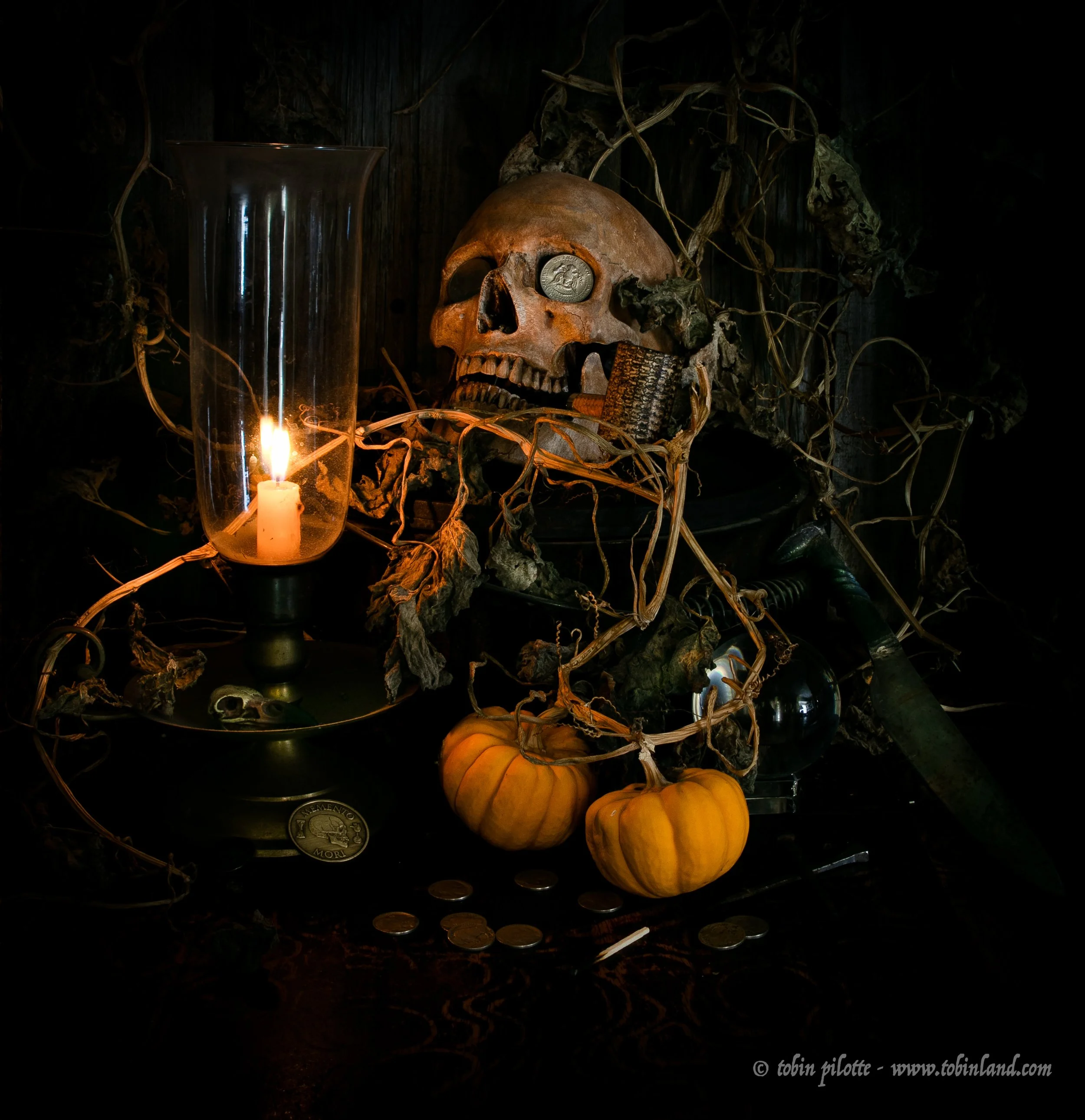 Rest in Autumn