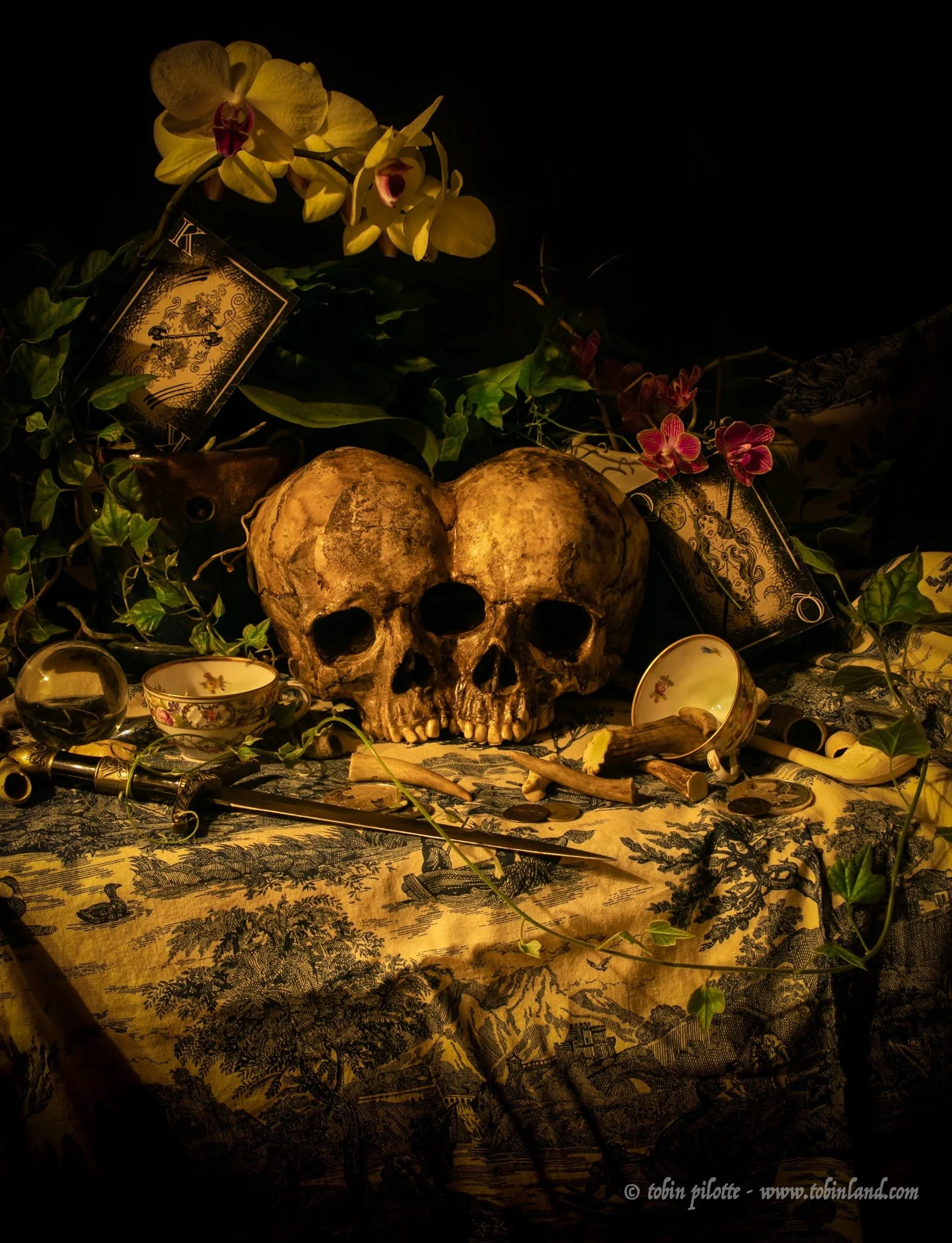 twinsvanitas.jpg