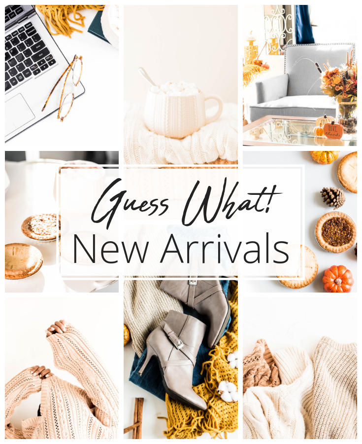 Fall Fashion and Lifestyle Stock Photos