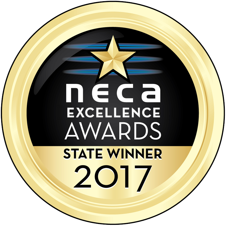 NECA Excellence Winner Medal 2017.png