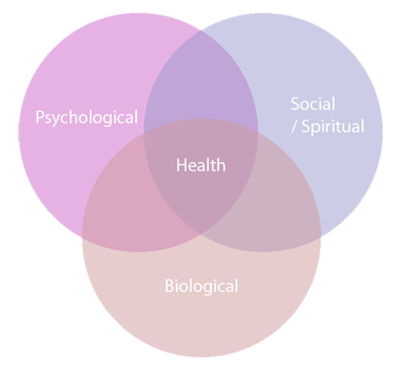 biopsycosocialspiritual.png