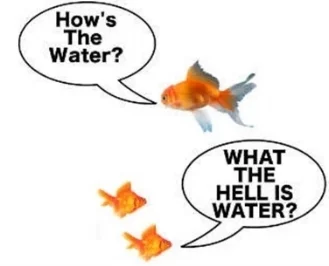 what-the-hell-is-water2.jpg