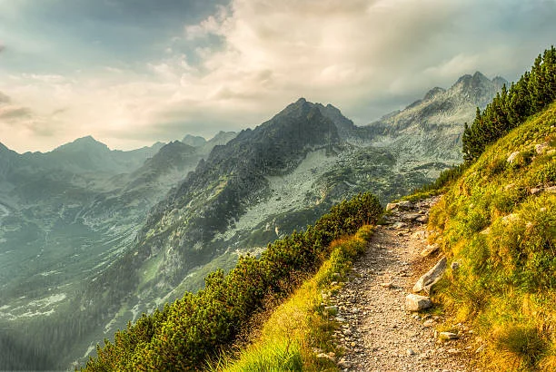 mountain path.jpg