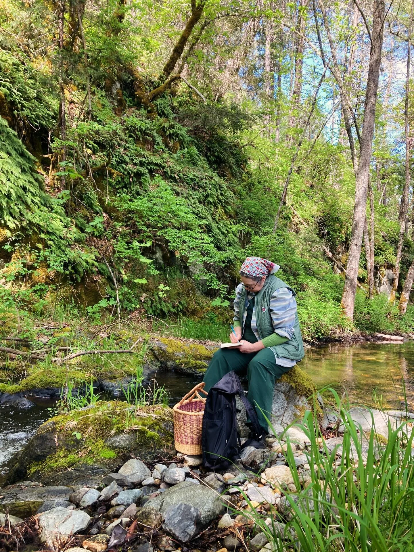 We hosted a wildcrafting workshop on our land yesterday&hellip; what a treat! While so much destruction is happening around us, it feels so meaningful to gather with folks young and older to connect with the gifts of the land and one another.
.
If yo